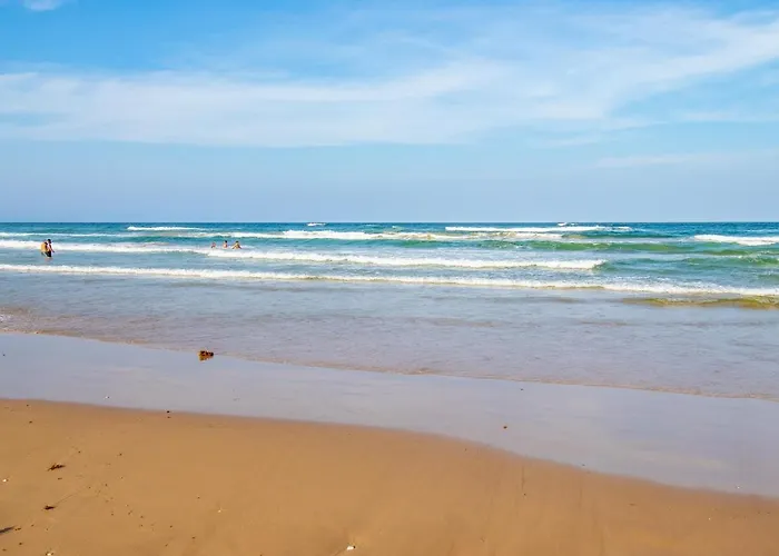 Seagull'S Landing By The Ocean
